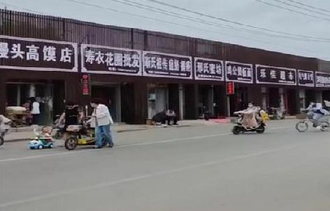 维西傈僳族自治县政府规划的统一招牌样式有哪些？